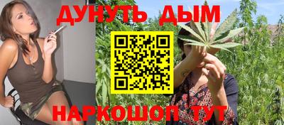 гидропоника Дубна