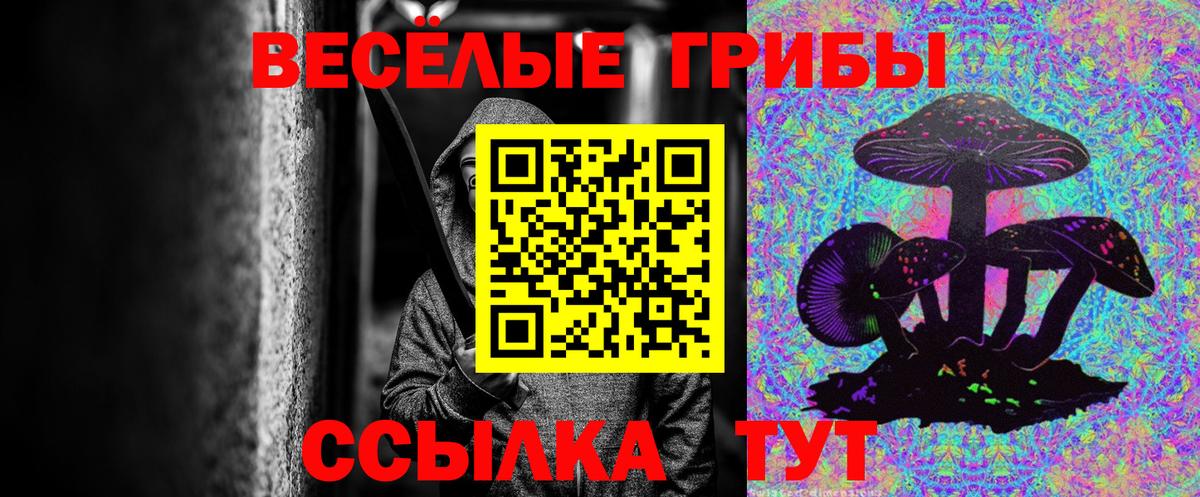 Галлюциногенные грибы GOLDEN TEACHER  Вход с VPN  что такое   Псилоцибиновые грибы Psilocybe  Мурманск 