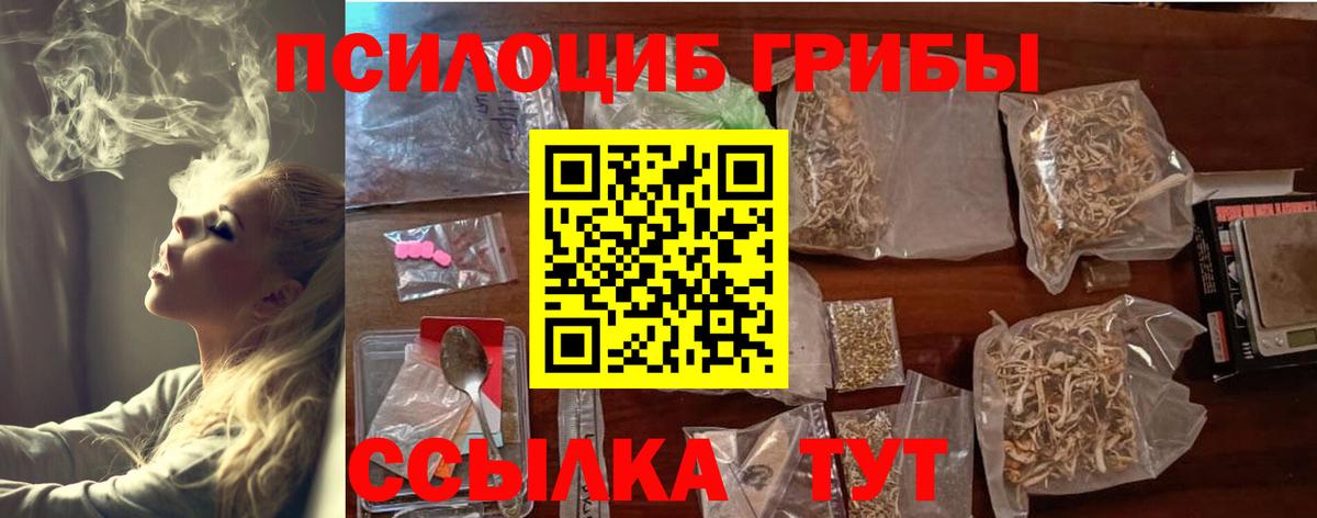 Лсд 25 Мурманск