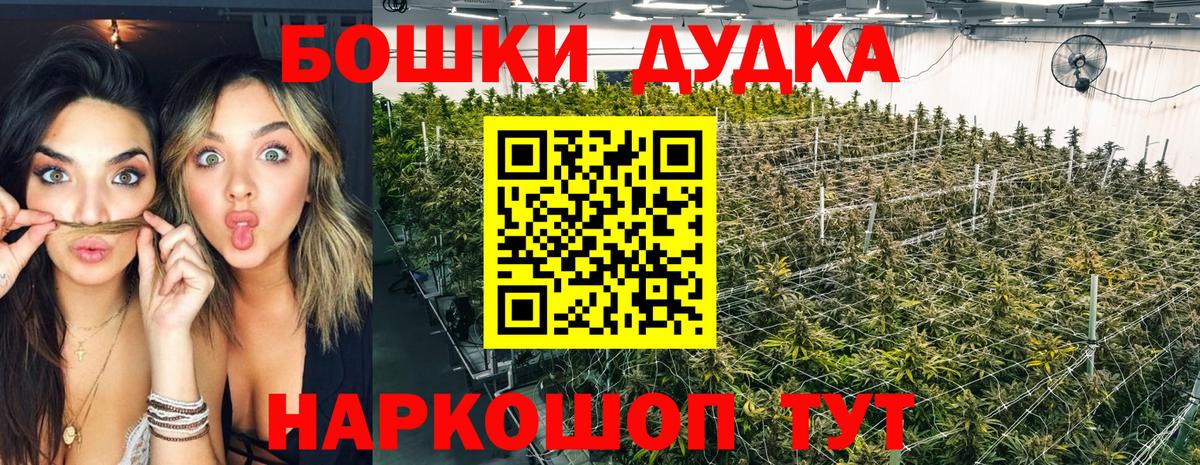 Бошки марихуана Bruce Banner Мурманск